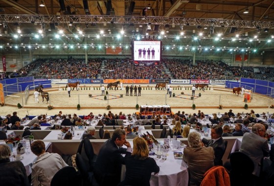 KWPN Stallion Show 2017